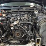 24312896_1649759941728691_7746567204903341444_n